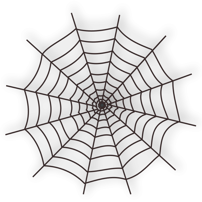 Spider Web