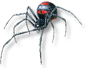 Spider that represnts the crawling and spidering of the Internet